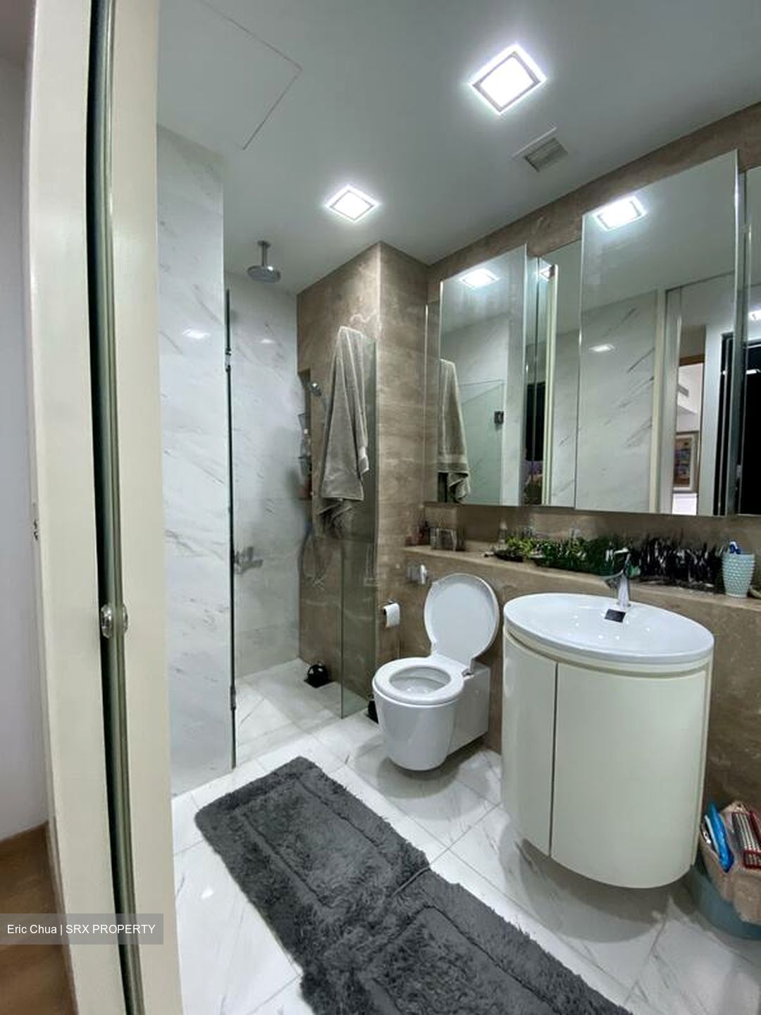 Verdure (D10), Condominium #525511641